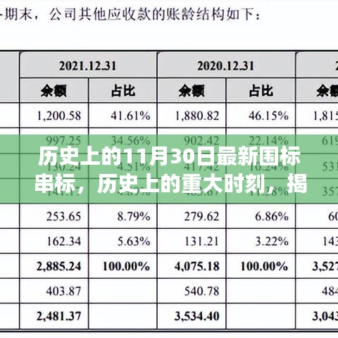 揭秘历史重大时刻，揭秘围标串标事件内幕，最新事件回顾（日期为11月30日）