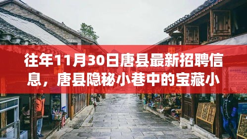 往年11月30日唐县最新招聘信息，唐县隐秘小巷中的宝藏小店，揭秘十一月最新招聘信息与独特环境魅力