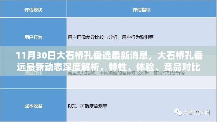 大石桥孔垂远最新动态解析，特性、体验、竞品对比与用户洞察