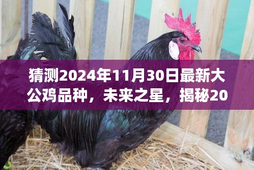 揭秘未来之星，2024年大公鸡新品种展望与自信塑造之路