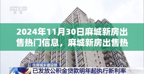 麻城新房出售热门信息解析，聚焦房地产走向与个人观点（2024年11月）