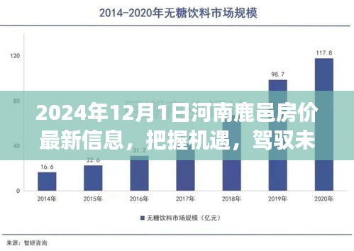 河南鹿邑房价最新信息揭秘，把握未来机遇，开启自信成就之旅（2024年）