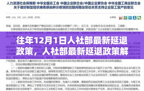 人社部最新延迟退休政策解析，深度探讨及观点阐述