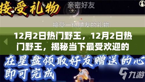 揭秘当下最受欢迎的野外活动及攻略，12月2日热门野王指南