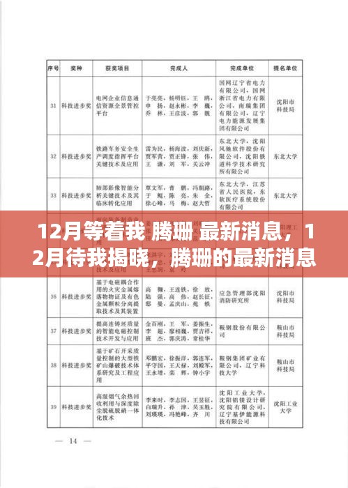 腾珊最新消息揭秘，热议与观点碰撞，12月揭晓悬念