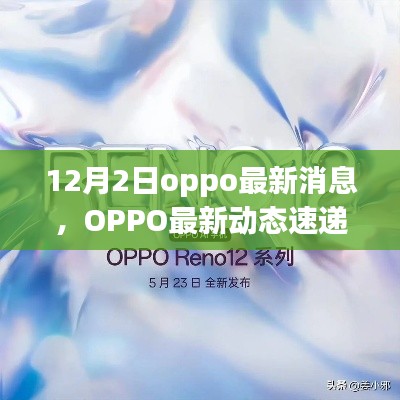 OPPO最新动态速递，12月2日热点解读与最新消息