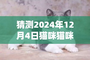 2024年12月4日猫咪猫咪最新版下载预测分析