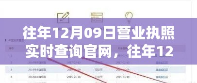 往年12月09日营业执照实时查询官网详解与评测报告