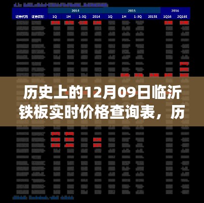 历史上的12月09日临沂铁板实时价格深度解读与查询表揭秘