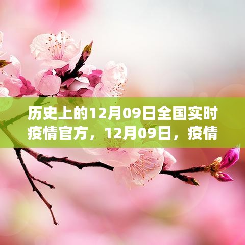 疫情之下的心灵自然之旅，全国实时疫情官方通报与历史回顾，12月09日当日纪事