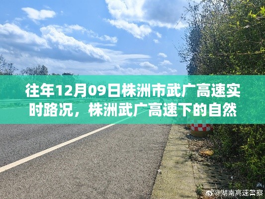 株洲武广高速实时路况与秘境探索，寻找内心平静的旅程