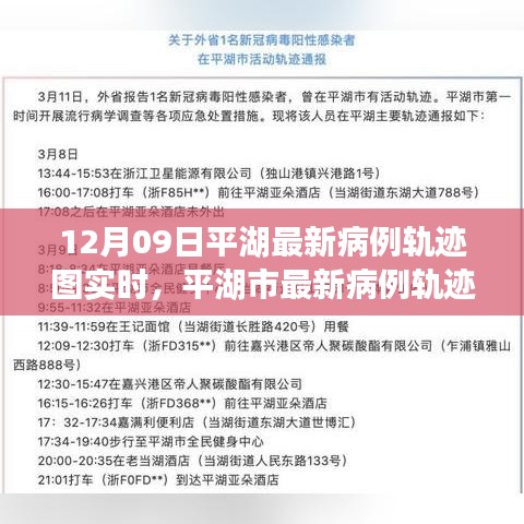 平湖最新病例轨迹图实时追踪，操作指南及最新病例轨迹图发布（12月09日）