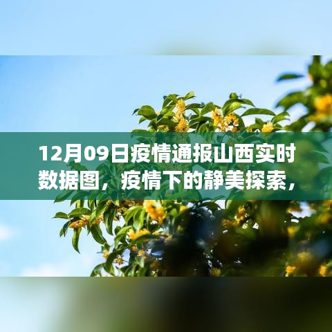 山西疫情实时数据图下的静美探索，自然之旅与心灵平静之旅