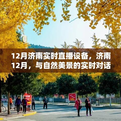 济南12月实时直播设备，与自然美景对话，寻找内心的宁静与平和之旅