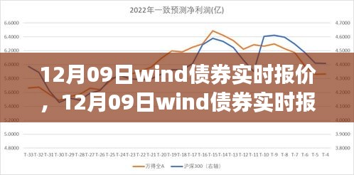 12月09日Wind债券实时报价深度解析，投资视角与观点碰撞