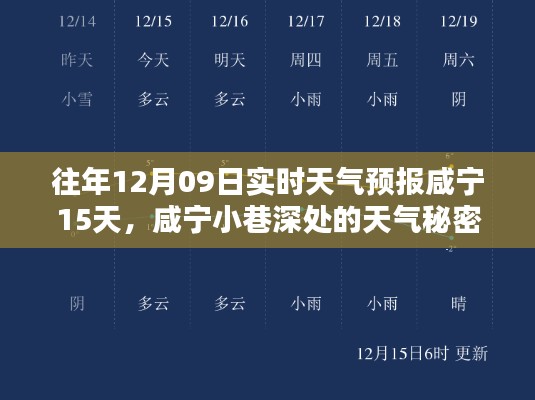 咸宁天气预报揭秘，小巷深处的天气秘密与特色小店的实时预报之旅