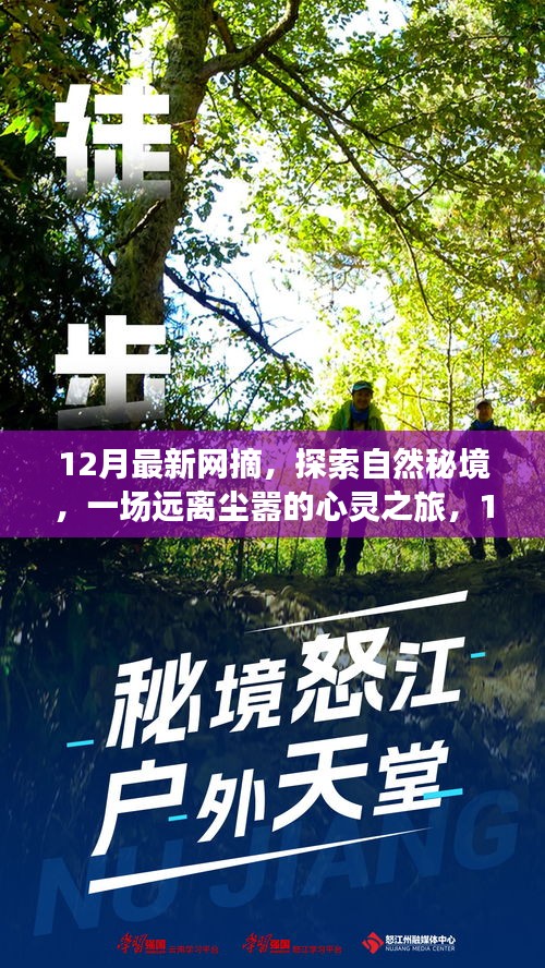 探索自然秘境的心灵之旅，最新网摘带你启程