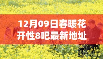 春暖花开时，拥抱变化，知识海洋中自信成长的最新动态（12月09日）