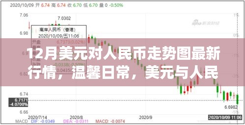 美元与人民币走势图最新动态，情感纽带与家庭欢乐时光中的货币交汇