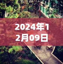 探秘小巷深处的特色小店，2024年实时头像视频拍摄指南与探秘之旅