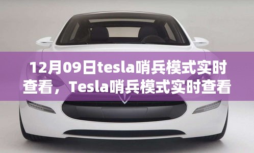 Tesla哨兵模式实时查看，利与弊的探讨