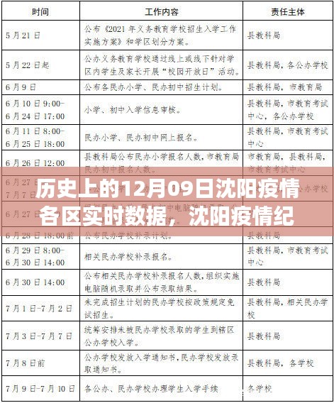 沈阳疫情纪实，十二月九日各区实时数据深度解读与回顾