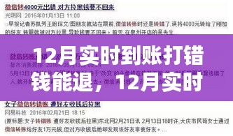 全面解析，12月实时到账资金打错后的退款流程与可能性