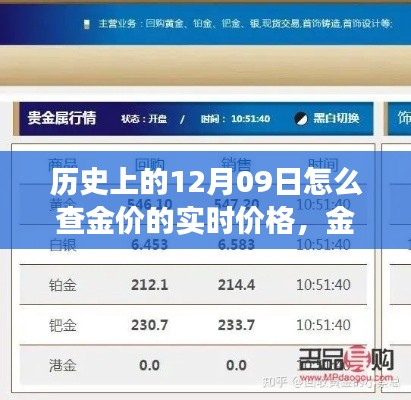 温馨探秘，历史上的金价实时追踪与查金价之旅的启示