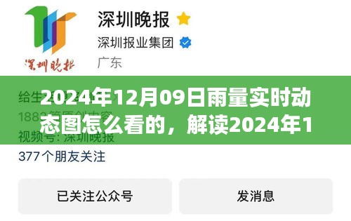 如何解读2024年12月09日雨量实时动态图，掌握关键信息应对天气变化