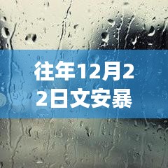 逆境中的阳光，文安暴雨背后的成长力量与实时情况查询