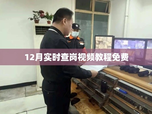 12月实时查岗视频教程，免费学习查岗技巧