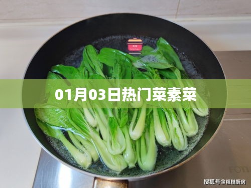 热门菜素菜精选，美味与健康共享