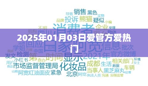 爱管方热门事件回顾，2025年1月3日