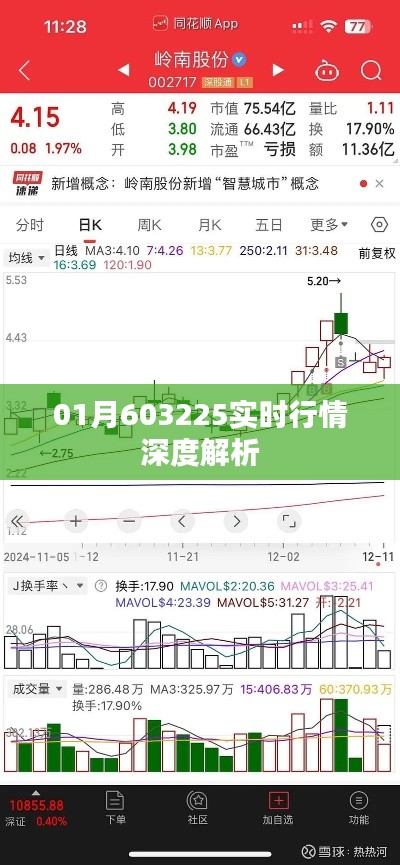 实时行情深度解析，01月股市走势揭秘