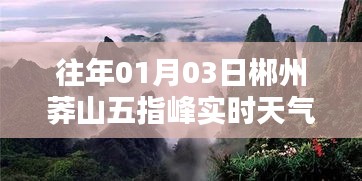 郴州莽山五指峰实时天气（往年1月3日）