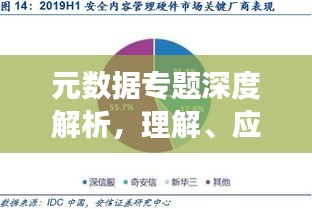 元数据专题深度解析，理解、应用及未来发展展望