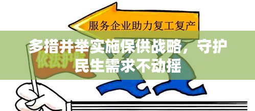 多措并举实施保供战略，守护民生需求不动摇