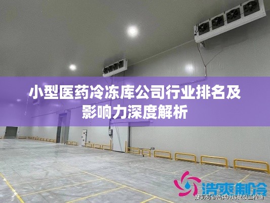 小型医药冷冻库公司行业排名及影响力深度解析