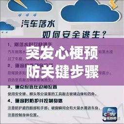 突发心梗预防关键步骤与行动指南，守护心血管健康必备！