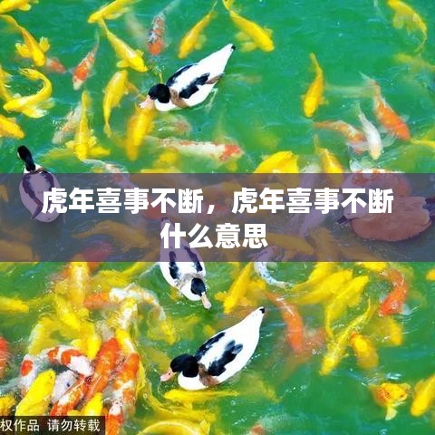 虎年喜事不断，虎年喜事不断什么意思 