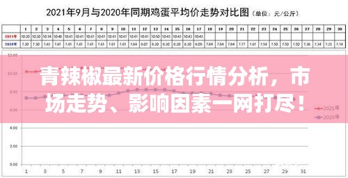 青辣椒最新价格行情分析，市场走势、影响因素一网打尽！