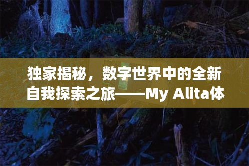 独家揭秘，数字世界中的全新自我探索之旅——My Alita体验之旅