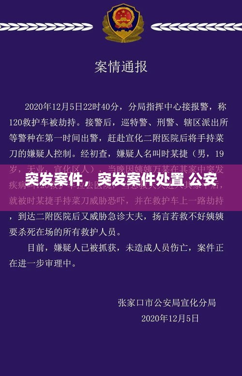 突发案件，突发案件处置 公安 