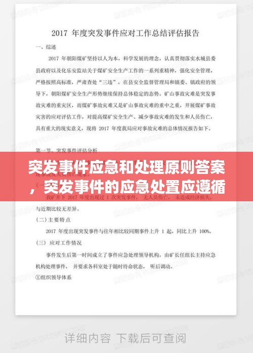 突发事件应急和处理原则答案，突发事件的应急处置应遵循以下几个原则 