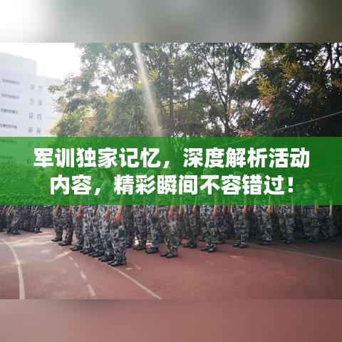 军训独家记忆，深度解析活动内容，精彩瞬间不容错过！