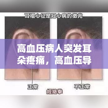 高血压病人突发耳朵疼痛，高血压导致耳朵不舒服怎么办 