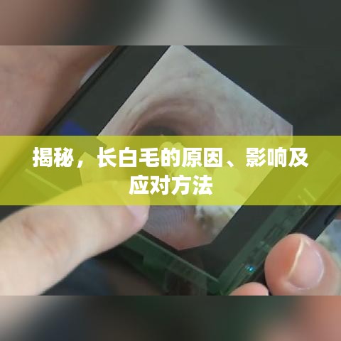 揭秘，长白毛的原因、影响及应对方法