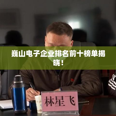 巍山电子企业排名前十榜单揭晓！