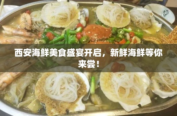 西安海鲜美食盛宴开启，新鲜海鲜等你来尝！