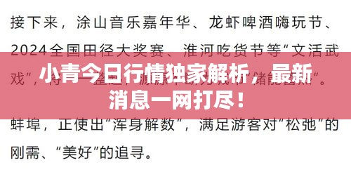 小青今日行情独家解析，最新消息一网打尽！